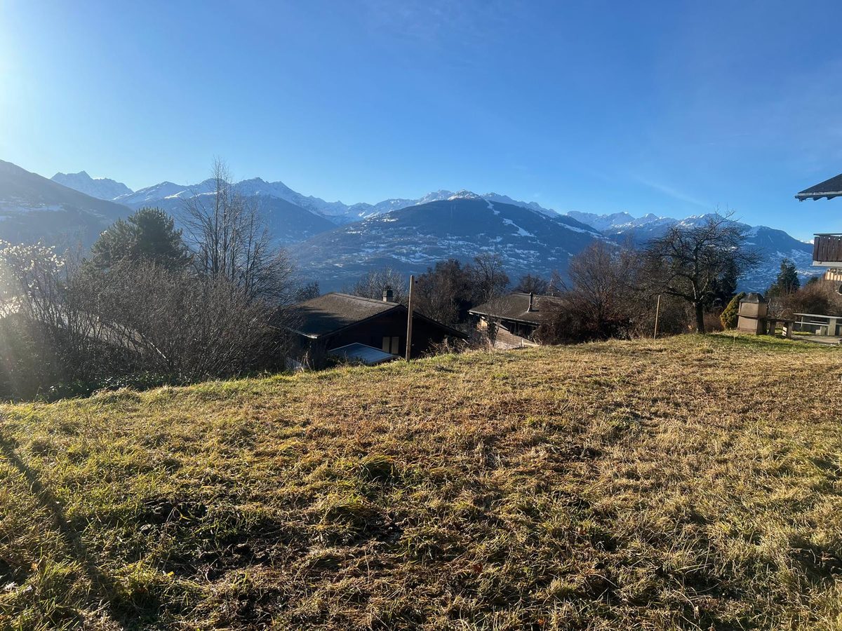 Le terrain de Blignou, une prairie en pente face aux montagnes du Valais central